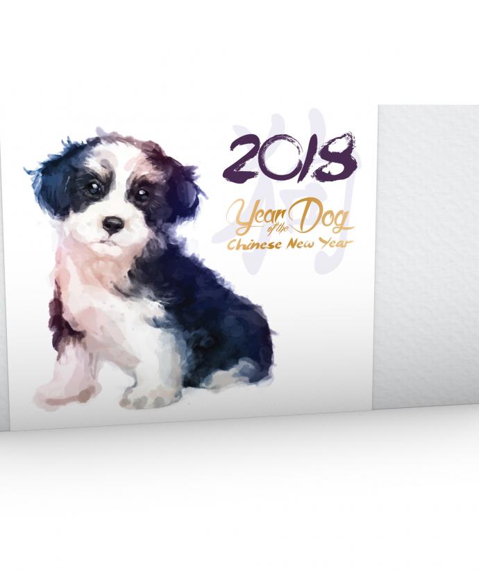 New Year Dog Wrap A